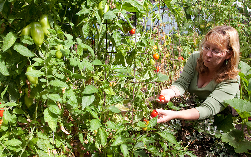 vacation garden maintenance