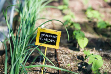 Edible gardens